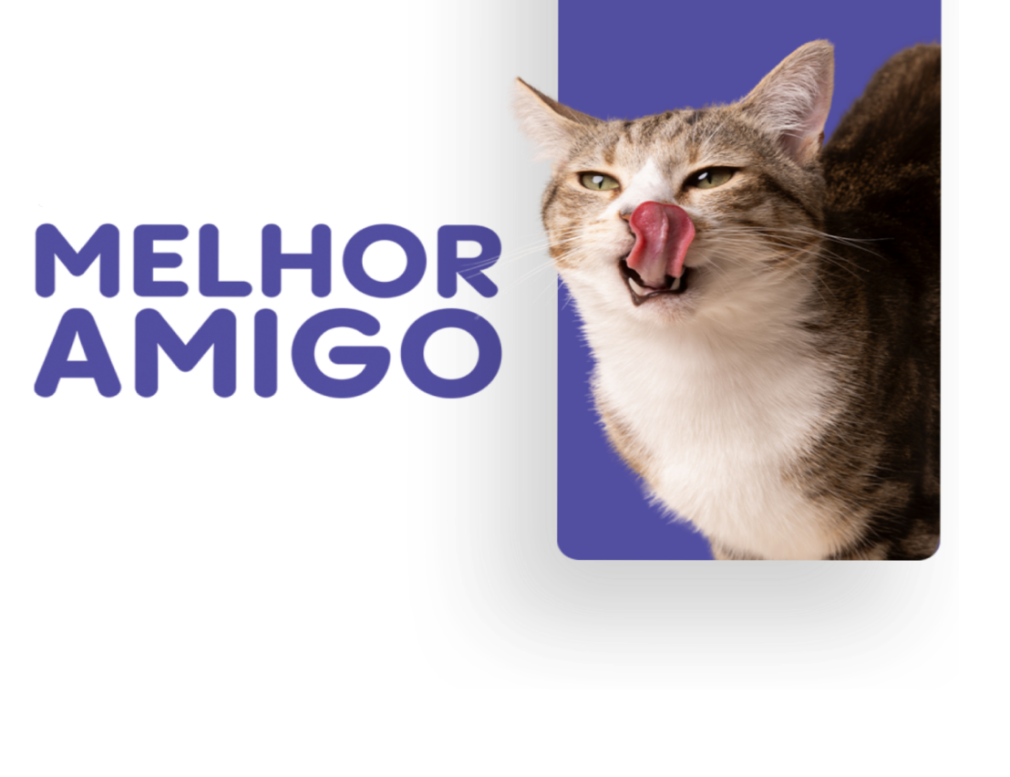 Plano melhor_amigo