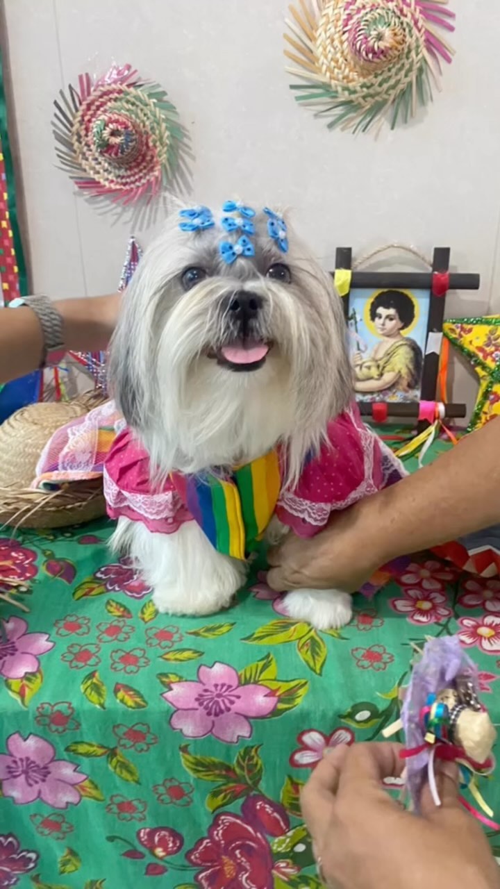 depoimento jofi