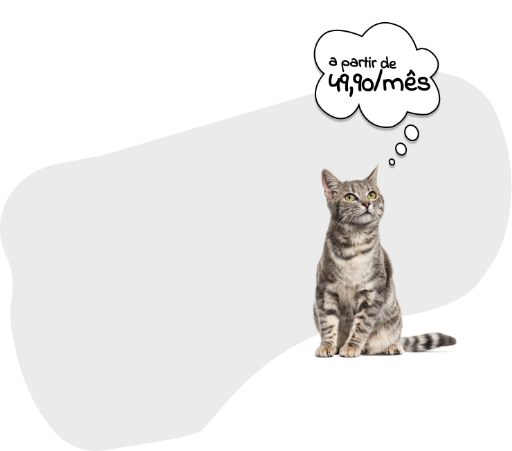 Planos a partir de R$ 49,90/mês