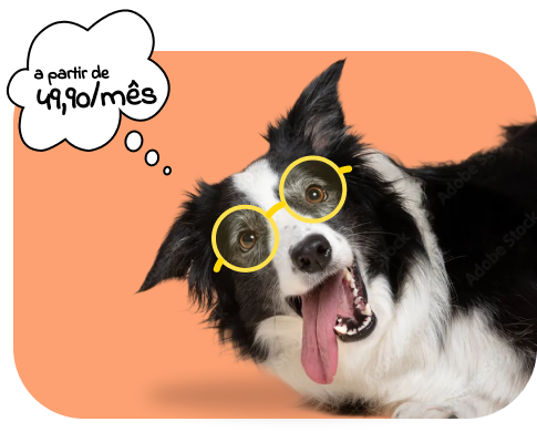 A partir de R$49,90/mês