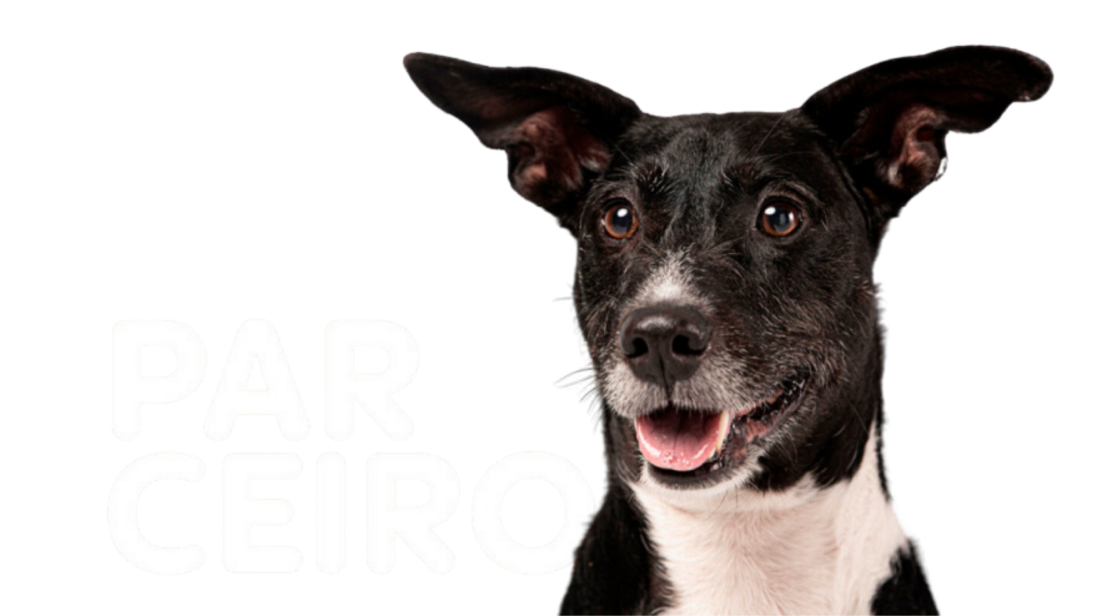 Plano parceiro