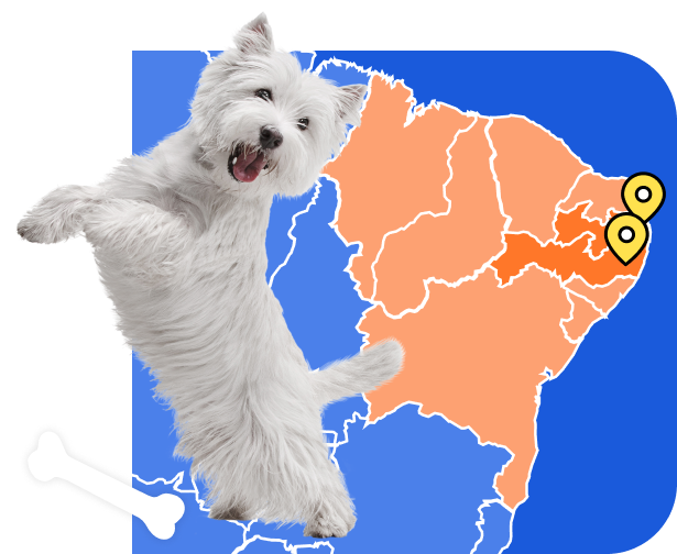 A partir de R$49,90/mês