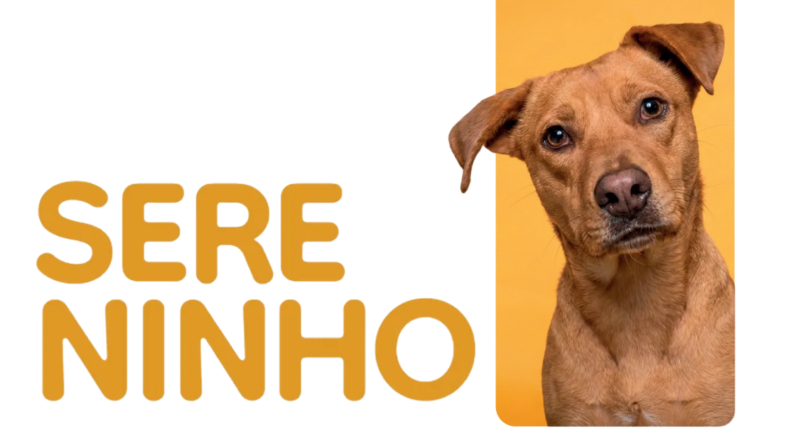 Plano sereninho