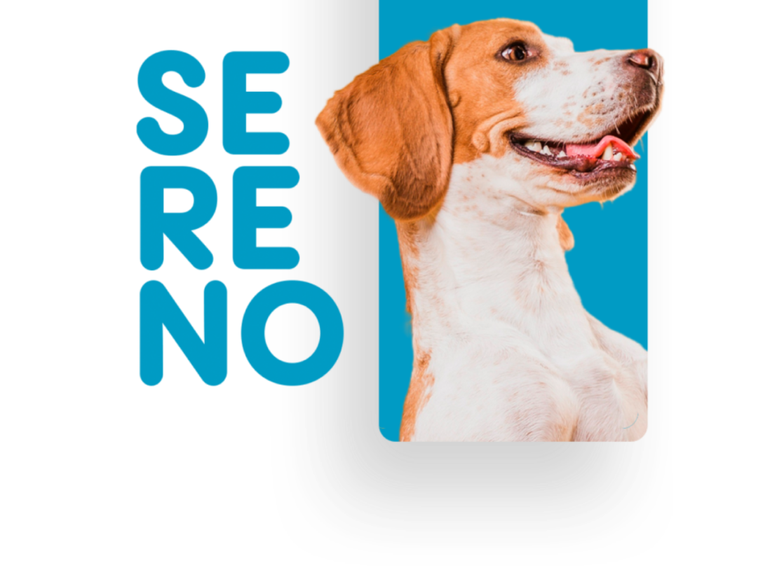 Plano sereno
