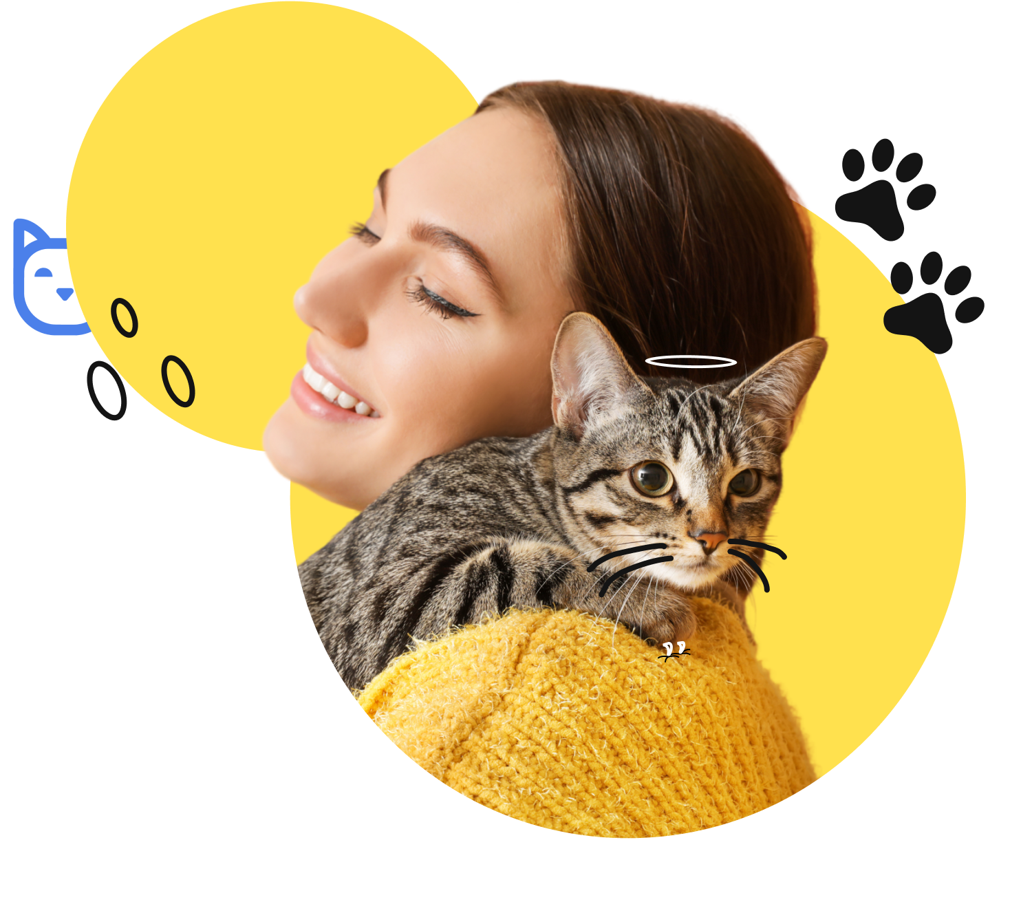 gatinho jofi